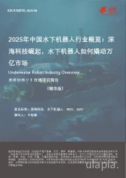 2025年中国水下机器人行业概览：深海科技崛起，水下机器人如何撬动万亿市场（精华版）