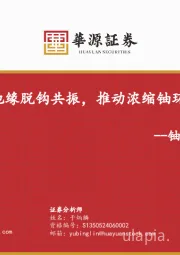 铀行业专题报告：政策催化与地缘脱钩共振，推动浓缩铀环节战略价值重估