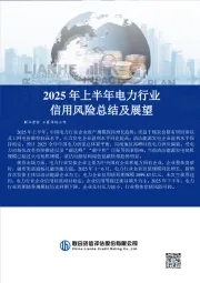 2025年上半年电力行业信用风险总结及展望