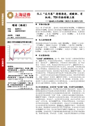 基础化工行业周报:化工“反内卷”持续推进,碳酸锂、有机硅、TDI价格持续上涨