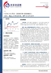 计算机行业周报：微软、Meta业绩超预期，GPT-5发布在即