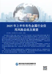2025年上半年有色金属行业信用风险总结及展望