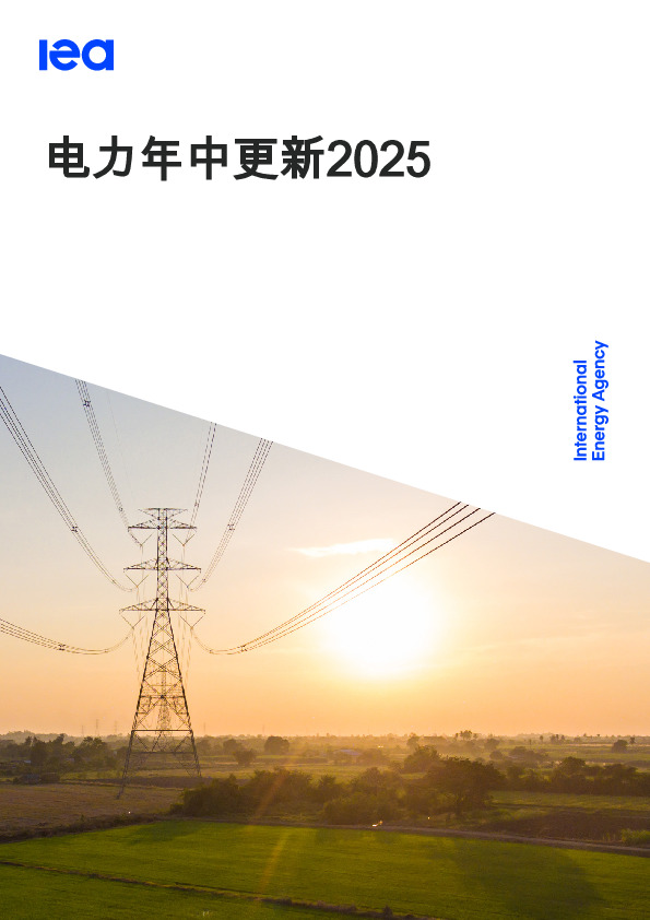 电力年中更新2025