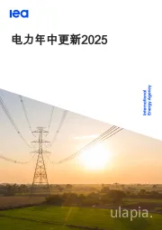 电力年中更新2025