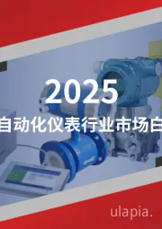 2025中国自动化仪表行业市场白皮书