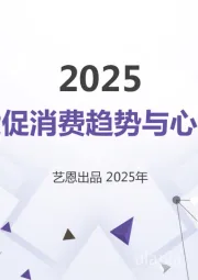 2025电商大促消费趋势与心智洞察