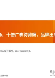 机械设备行业深度研究:摩托车海外市场:十倍广袤待驰骋,品牌出海1→10开启加速