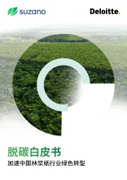 脱碳白皮书：加速中国林浆纸行业绿色转型