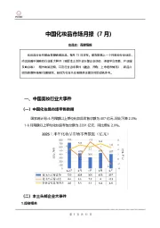 中国化妆品市场月报（7月）