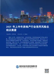 2025年上半年房地产行业信用风险总结及展望