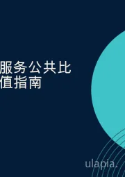 医疗保健服务公共比较表和估值指南