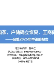 储能2025年中策略报告：大储如火如荼，户储确立恢复，工商储为新亮点