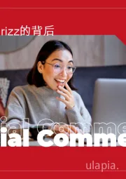 电商行业：社交电商热潮的背后（英译中）