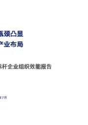 2025年有色金属标杆企业组织效能报告：价格周期上行 资源瓶颈凸显 智造转型深化 全球产业布局