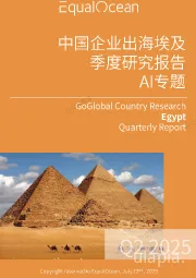 AI专题：中国企业出海埃及季度研究报告