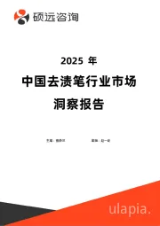 2025年中国去渍笔行业市场洞察报告