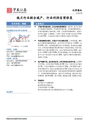 化学制品行业专题：瓶片行业联合减产，行业利润有望修复
