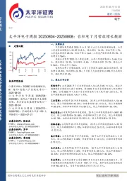 电子行业周报：台积电7月营收增长靓丽