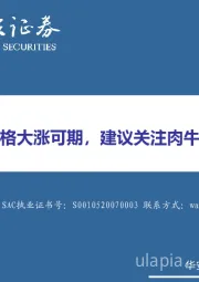 农林牧渔：我国牛肉价格大涨可期，建议关注肉牛相关产业链