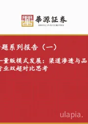 休闲零食专题系列报告（一）：量贩模式发展：渠道渗透与品类拓展机遇，行业双超对比思考