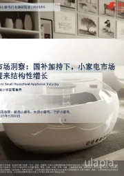 市场洞察：国补加持下，小家电市场迎来结构性增长