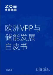 欧洲VPP与储能发展白皮书