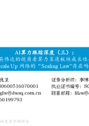 AI算力跟踪深度（三）：从英伟达的视角看算力互连板块成长性——Scale Up网络的“Scaling Law”存在吗？