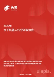 企业竞争图谱：2025年水下机器人 头豹词条报告系列
