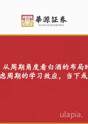 白酒行业专题报告：从周期角度看白酒的布局时点-充分考虑周期的学习效应，当下或是绝对收益起点