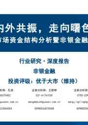下半年市场资金结构分析暨非银金融行业投资机会：内外共振，走向曙色