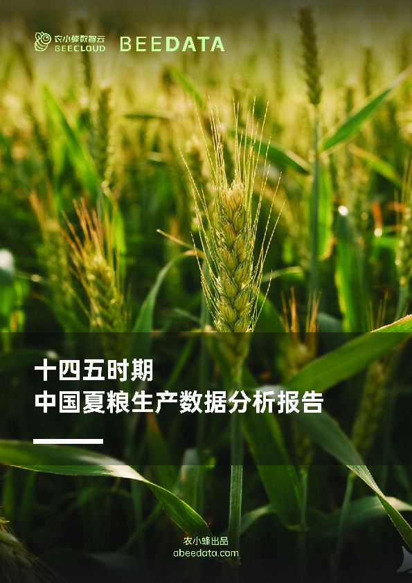 农业：十四五时期中国夏粮生产数据分析报告