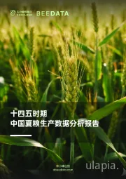 农业：十四五时期中国夏粮生产数据分析报告