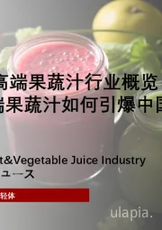 2024年中国高端果蔬汁行业概览：“鲜”喝为敬：高端果蔬汁如何引爆中国健康消费新浪潮？
