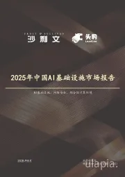 2025年中国AI基础设施行业市场报告