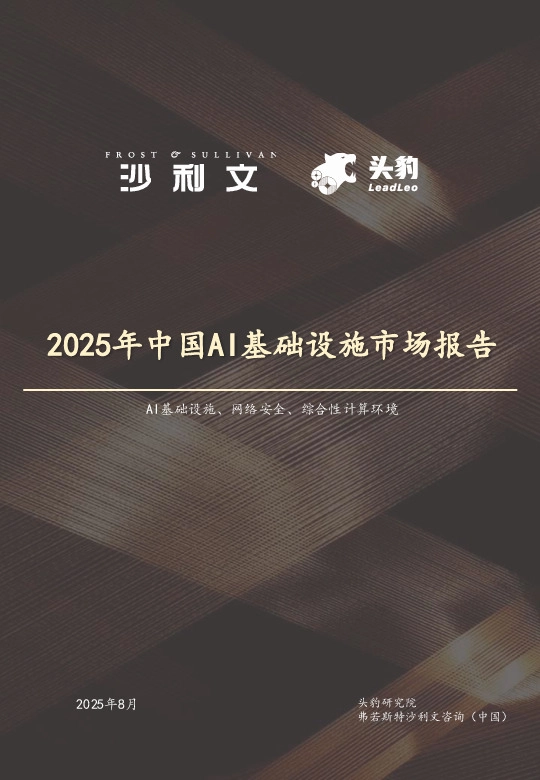 2025年中国AI基础设施行业市场报告