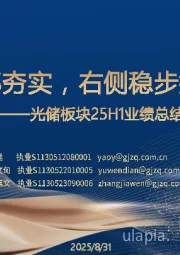 光储板块25H1业绩总结：底部夯实，右侧稳步推进