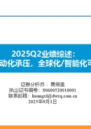 2025Q2业绩综述:国内/电动化承压,全球化/智能化可圈可点