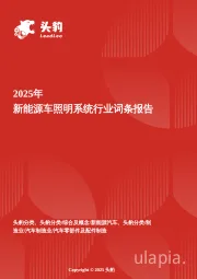2025年新能源车照明系统行业词条报告