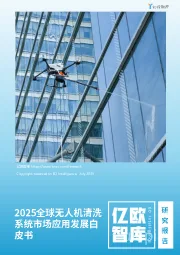 2025全球无人机清洗系统市场应用发展白皮书