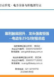 电动车25Q2财报总结：盈利触底回升，龙头强者恒强