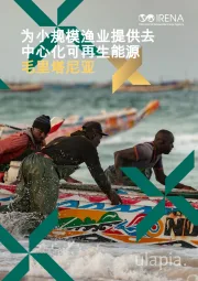 毛里塔尼亚：为小规模渔业提供去中心化可再生能源