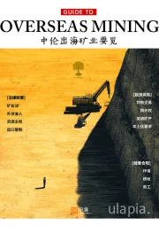 中伦出海矿业要览