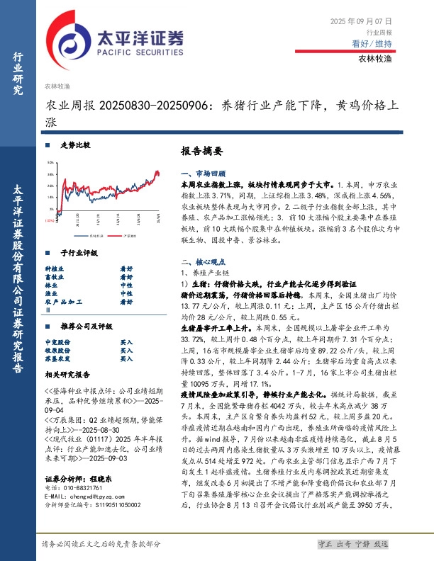 农业周报20250830-20250906：养猪行业产能下降，黄鸡价格上涨