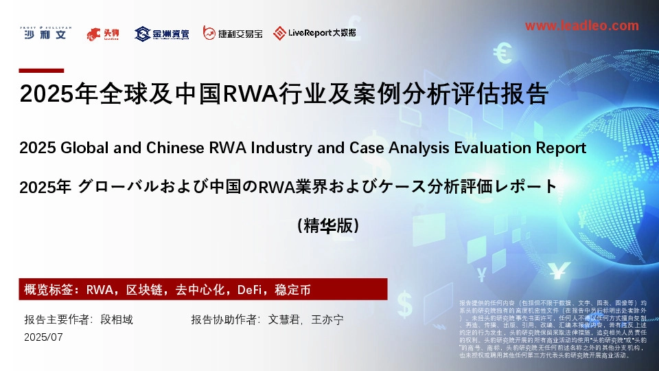 2025年全球及中国RWA行业及案例分析评估报告（精华版）