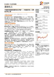 基础化工行业研究周报：中国新型储能规模跃居世界第一，环氧氯丙烷、百草枯价格上涨