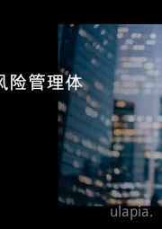 银行：重新定义风险管理体系