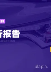 2025乘用车市场简析报告