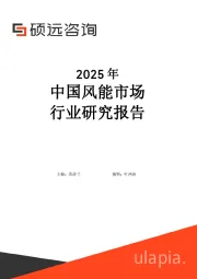 2025年中国风能市场行业研究报告