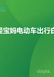 2025年年轻宝妈电动车出行白皮书