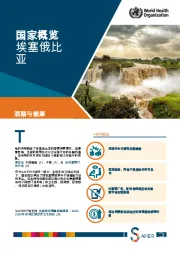 酒精与健康：国家概览埃塞俄比亚